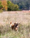 20171007-wcl-0029