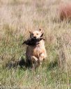 20171007-wcl-0034