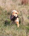 20171007-wcl-0036