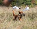 20171007-wcl-0050