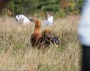 20171007-wcl-0052