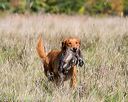 20171007-wcl-0096