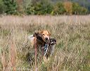 20171007-wcl-0124