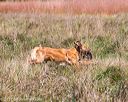 20171007-wcl-0175