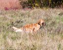 20171007-wcl-0181