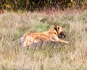 20171007-wcl-0183