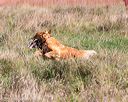 20171007-wcl-0189