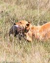 20171007-wcl-0205