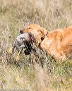 20171007-wcl-0215
