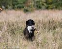 20171007-wcl-0230