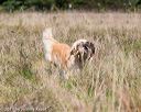 20171007-wcl-0258