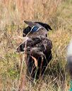 20171007-wcl-0299