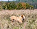 20171007-wcl-0307