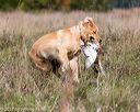 20171007-wcl-0310