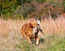 20171007-wcxl-0040
