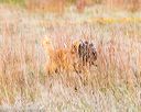 20171007-wcxl-0174