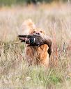 20171007-wcxl-0190