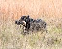 20171007-wcxl-0238