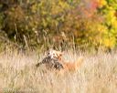 20171007-wcxl-0310