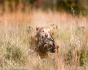 20171007-wcxl-0327