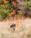 20171007-wcxl-0435