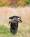 20171007-wcxl-0476