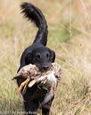 20171007-wcxl-0521