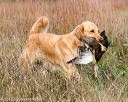 20171007-wcxl-0698