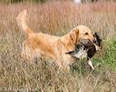 20171007-wcxl-0699