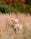 20171007-wcxl-0732
