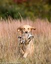 20171007-wcxl-0734