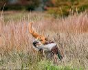 20171007-wcxl-0831