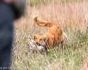 20171007-wcxl-0836