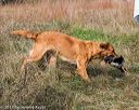 20171007-wcxl-0842
