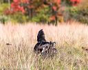 20171007-wcxl-0937