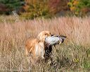 20171007-wcxl-0989