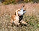 20171007-wcxl-0990