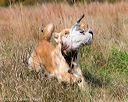 20171007-wcxl-0991