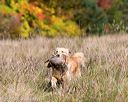 20171007-wcxl-1110