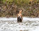 20171007-wcxw-0238