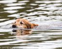 20171007-wcxw-0239