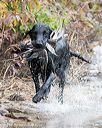 20171007-wcxw-0397