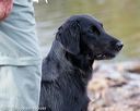 20171007-wcxw-0441