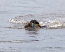 20171007-wcxw-0453