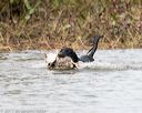 20171007-wcxw-0736