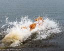 20171007-wcxw-0776