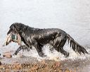 20171007-wcxw-0872