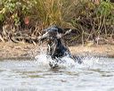 20171007-wcxw-0879