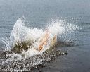20171007-wcxw-0912