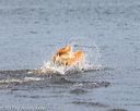 20171007-wcxw-0913